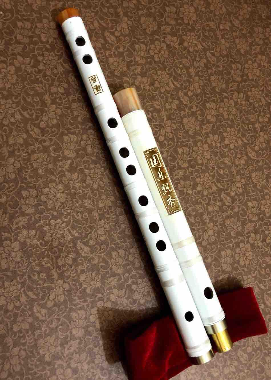 sao dizi co khop noi