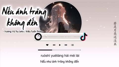 neu anh trang khong den