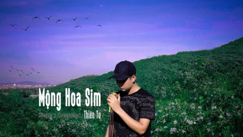 cam am mong hoa sim